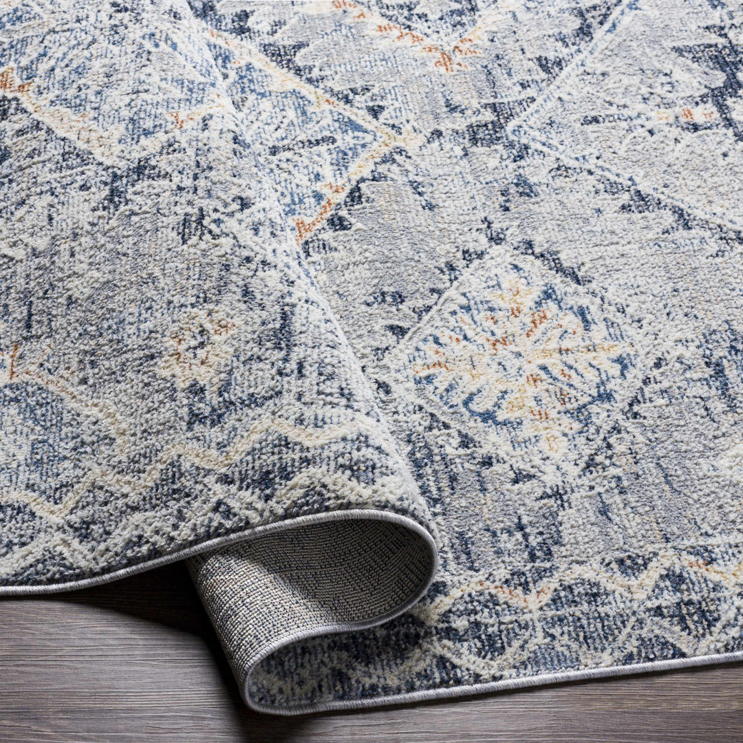Balamban Gray And Blue Traditional Style Area Rug