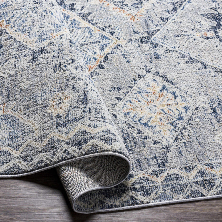 Balamban Gray And Blue Traditional Style Area Rug