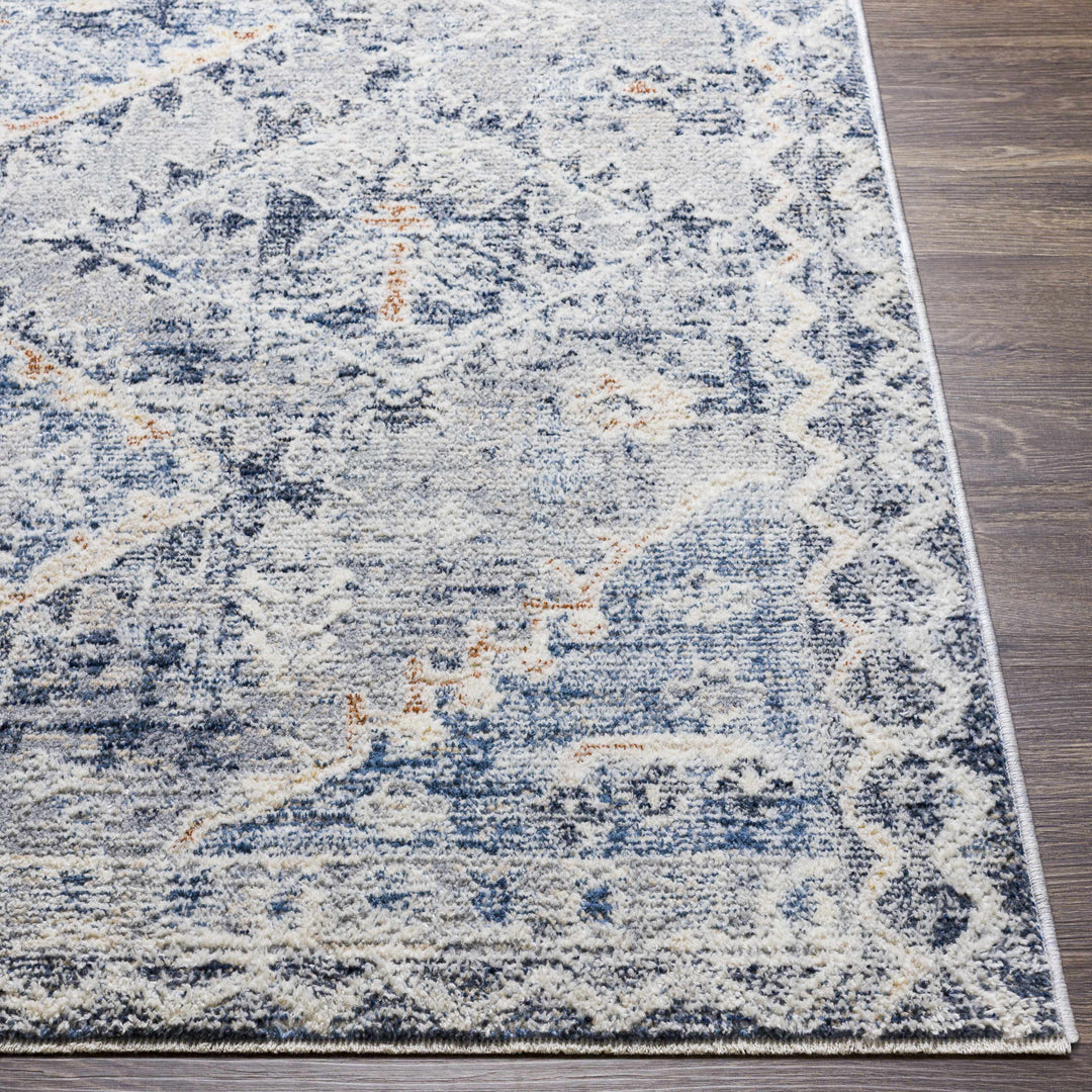 Balamban Gray And Blue Traditional Style Area Rug