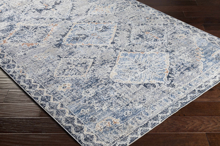 Balamban Gray And Blue Traditional Style Area Rug - The Rug Decor