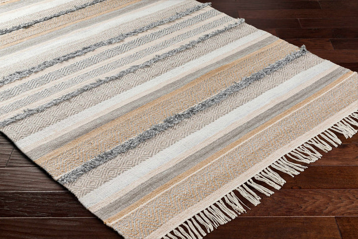 Ballinrobe Beige And Gray Modern Style Hand Woven Area Rug - The Rug Decor