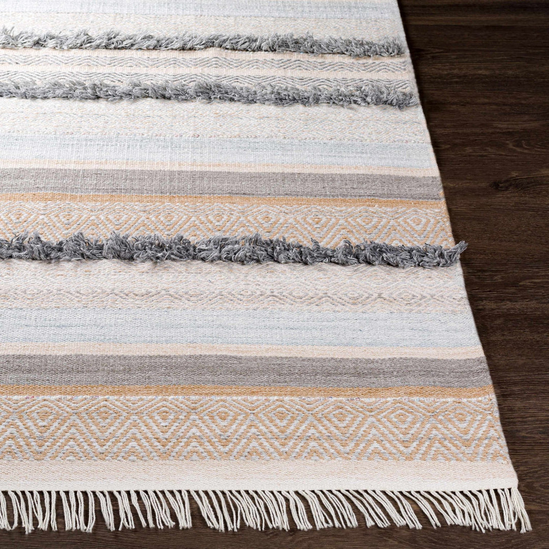Ballinrobe Beige And Gray Modern Style Hand Woven Area Rug - The Rug Decor