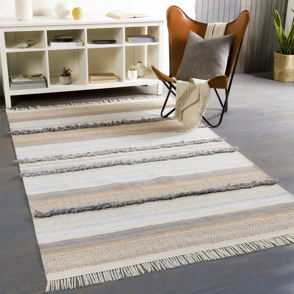 Ballinrobe Beige And Gray Modern Style Hand Woven Area Rug - The Rug Decor