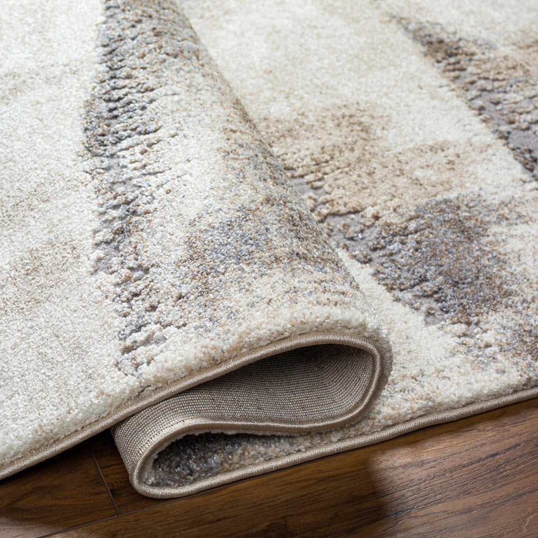 Banji Abstract Style Beige And Gray Rug - The Rug Decor