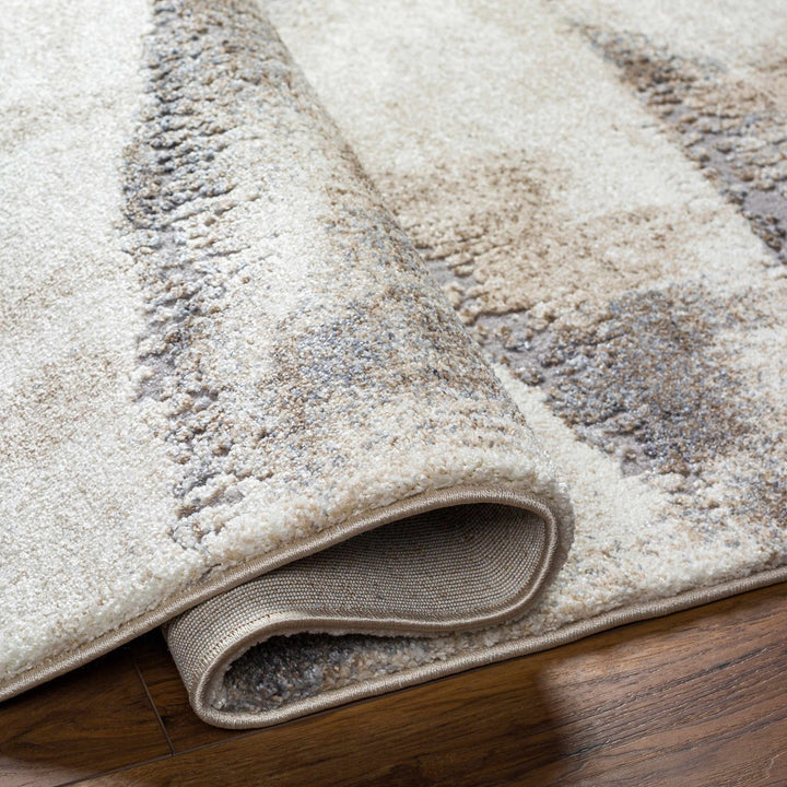 Banji Abstract Style Beige And Gray Rug - The Rug Decor