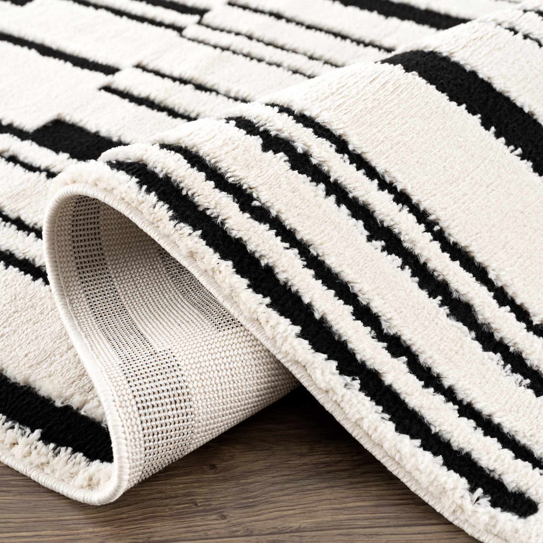 Bansi Modern Style Ivory And Black Area Rug - The Rug Decor