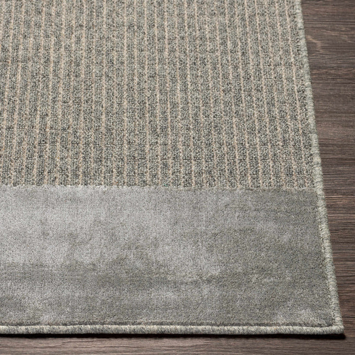 Bantiqui Contemporary Style Gray Area Rug
