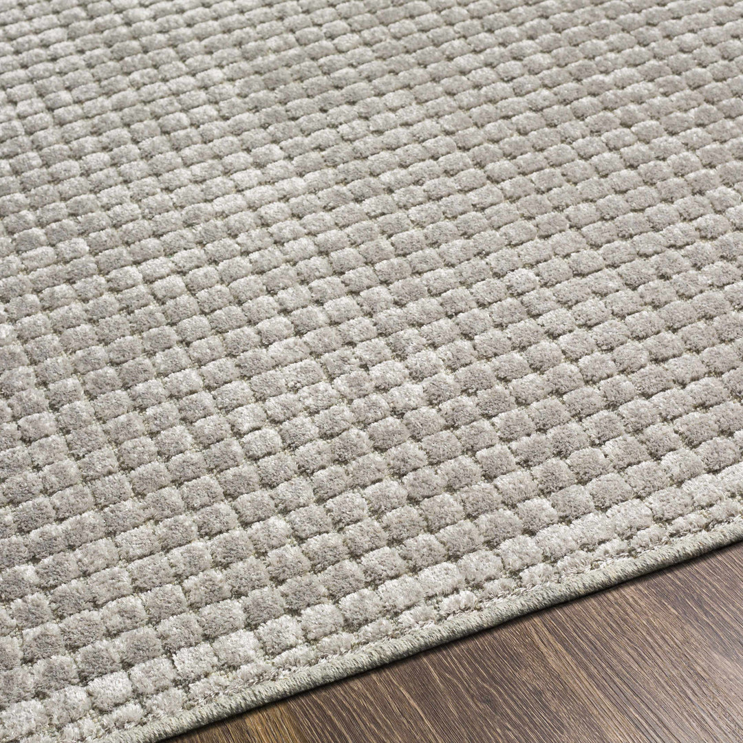 Bantiqui Contemporary Style Gray Area Rug