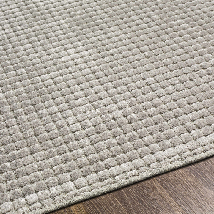 Bantiqui Contemporary Style Gray Area Rug - The Rug Decor