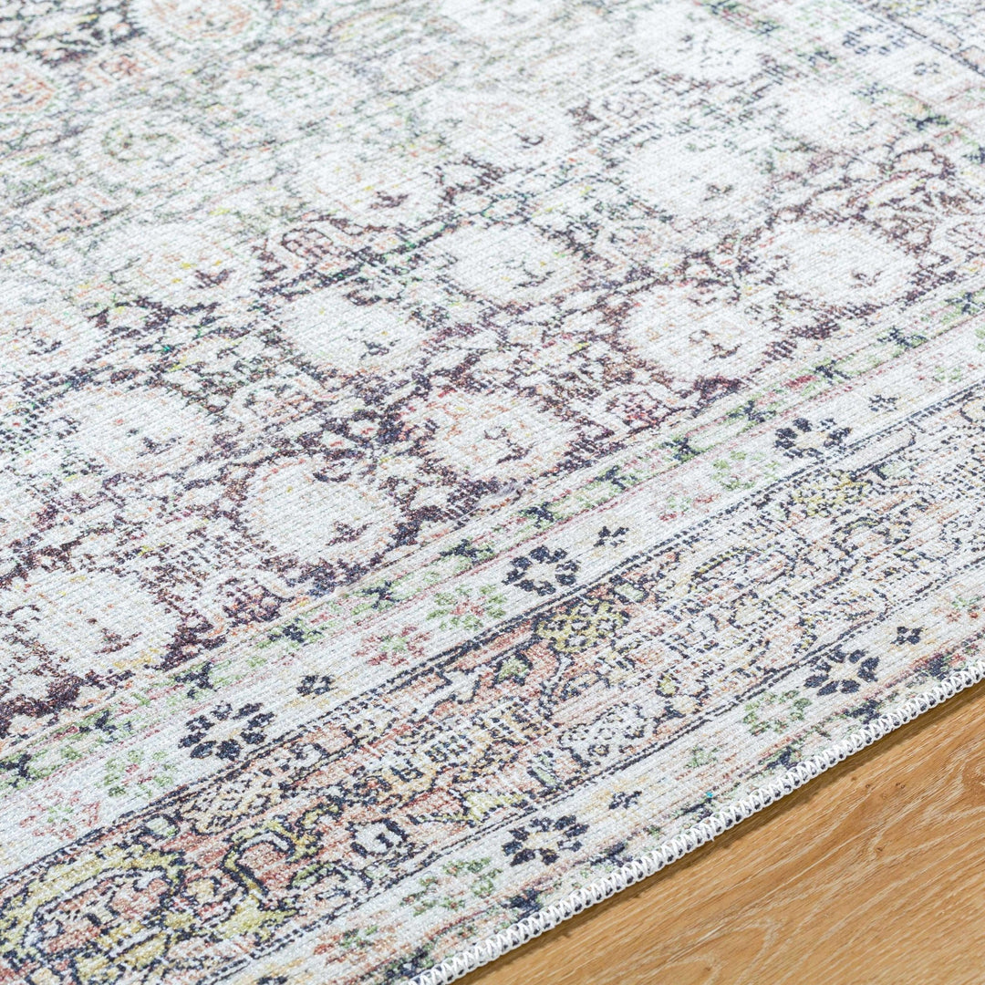 Bartek Traditional Style Brown And Ivory Washable Area Rug - The Rug Decor