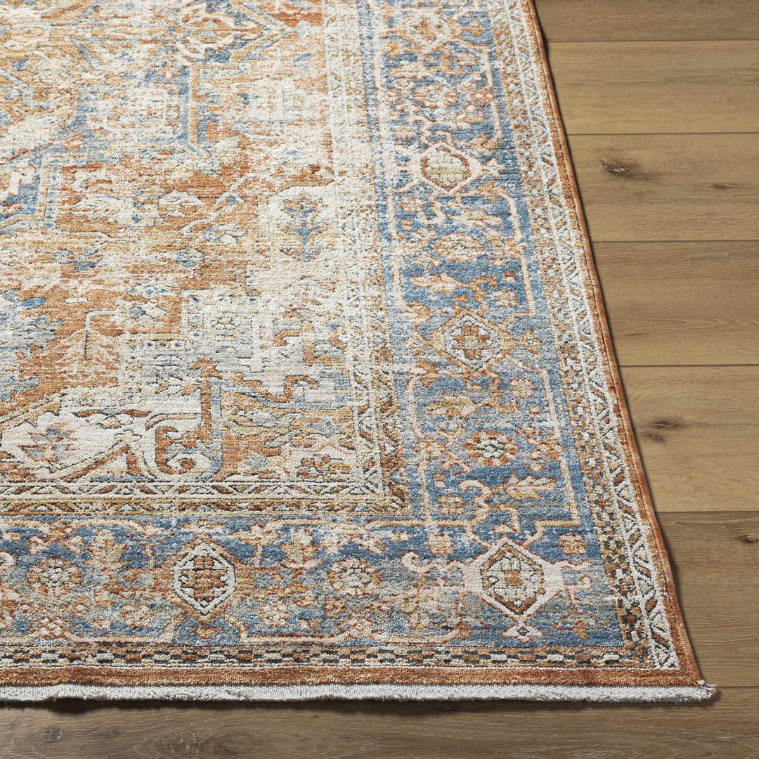 Basim Transitional Orange And Blue Rug - The Rug Decor