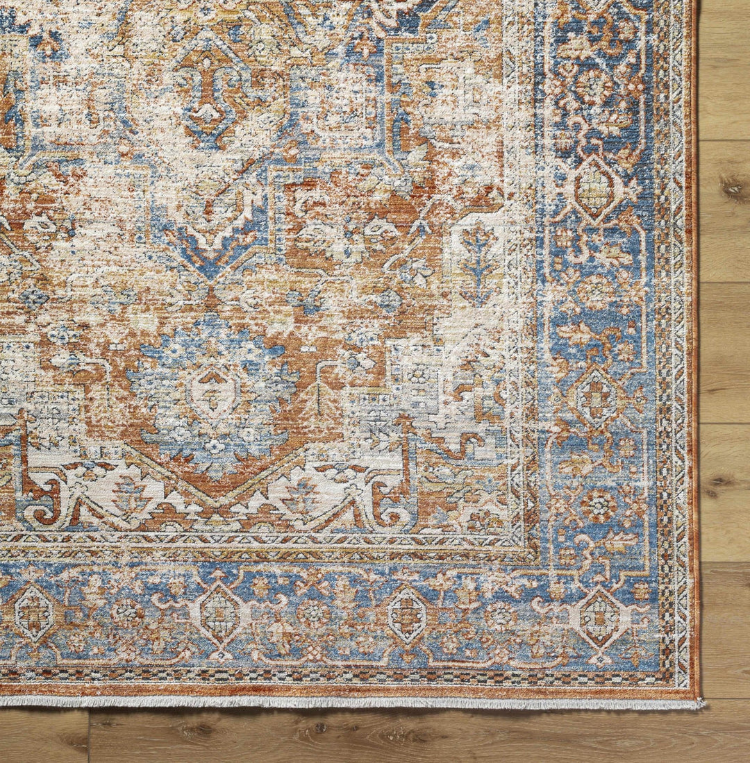 Basim Transitional Orange And Blue Rug - The Rug Decor