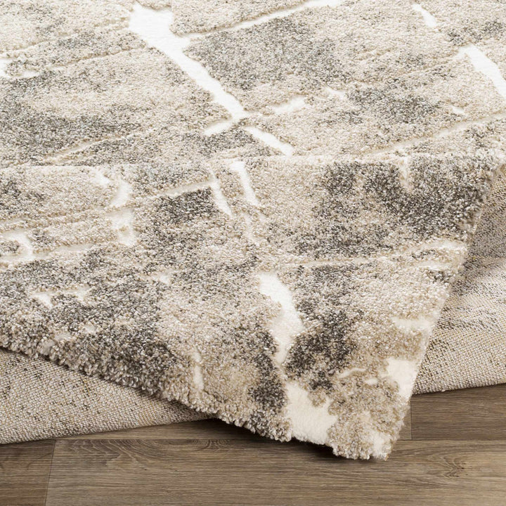 Bearsdale Beige And Gray Modern Abstract Design Area Rug