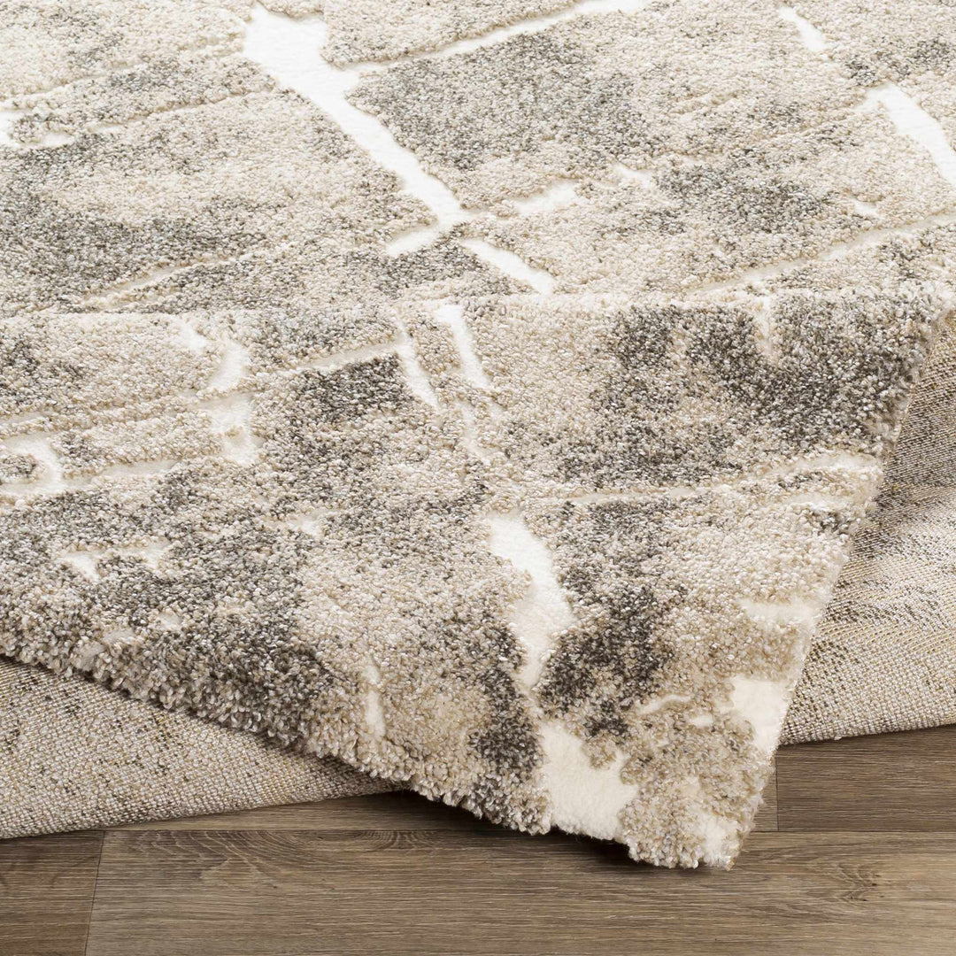 Bearsdale Beige And Gray Modern Abstract Design Area Rug - The Rug Decor