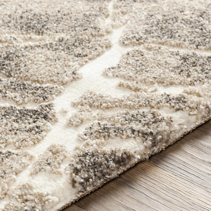 Bearsdale Beige And Gray Modern Abstract Design Area Rug - The Rug Decor