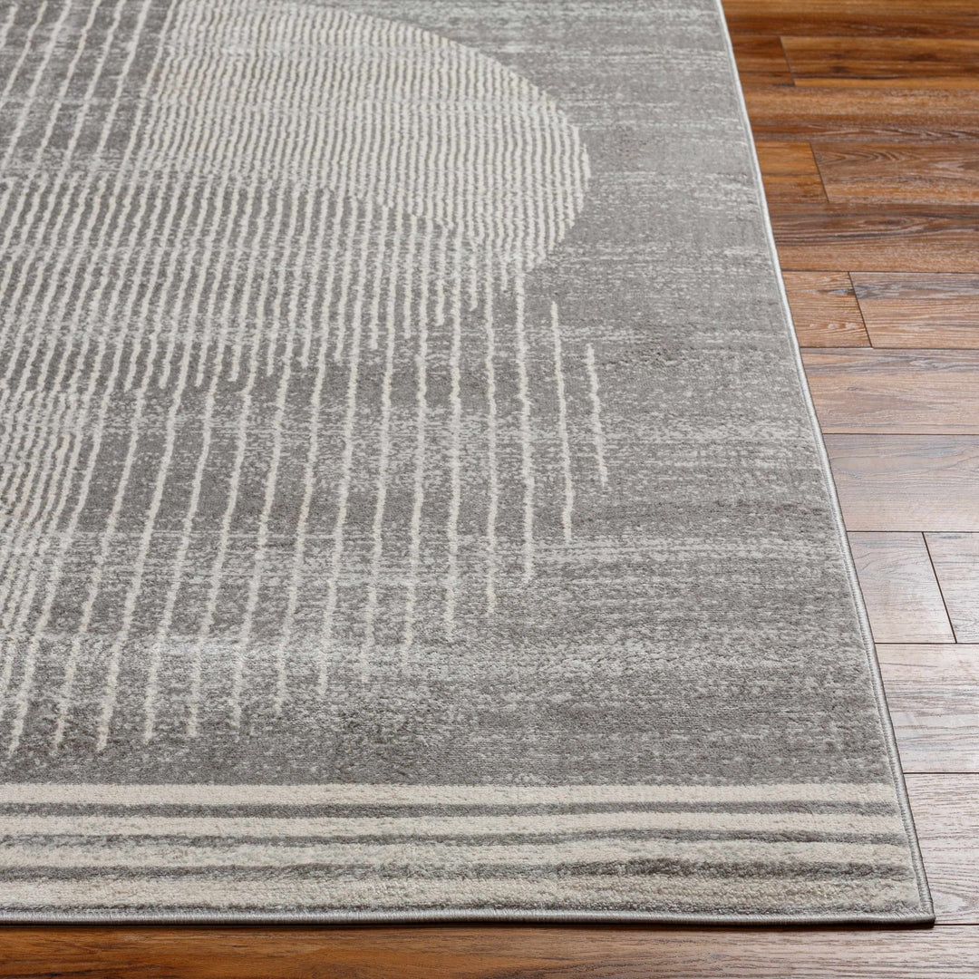 Beauregard Contemporary Style Gray Area Rug - The Rug Decor