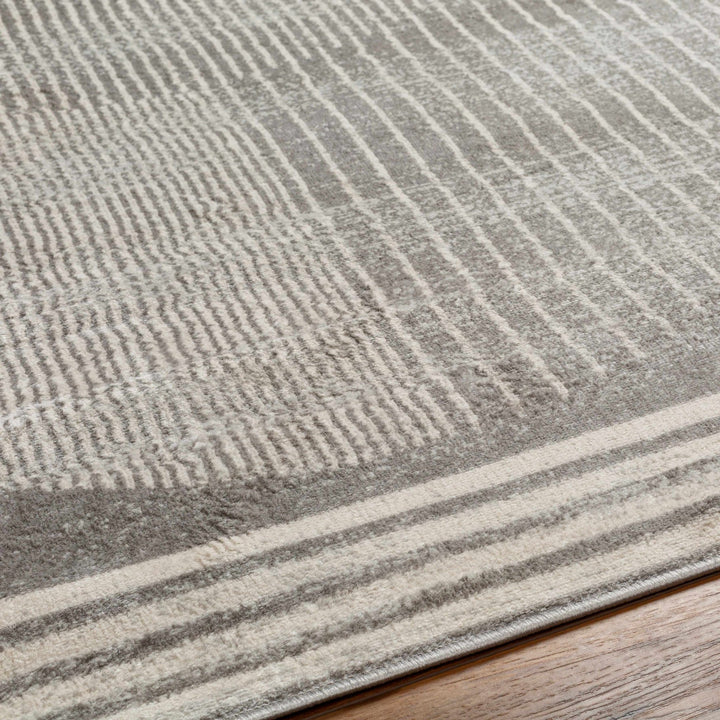 Beauregard Contemporary Style Gray Area Rug - The Rug Decor