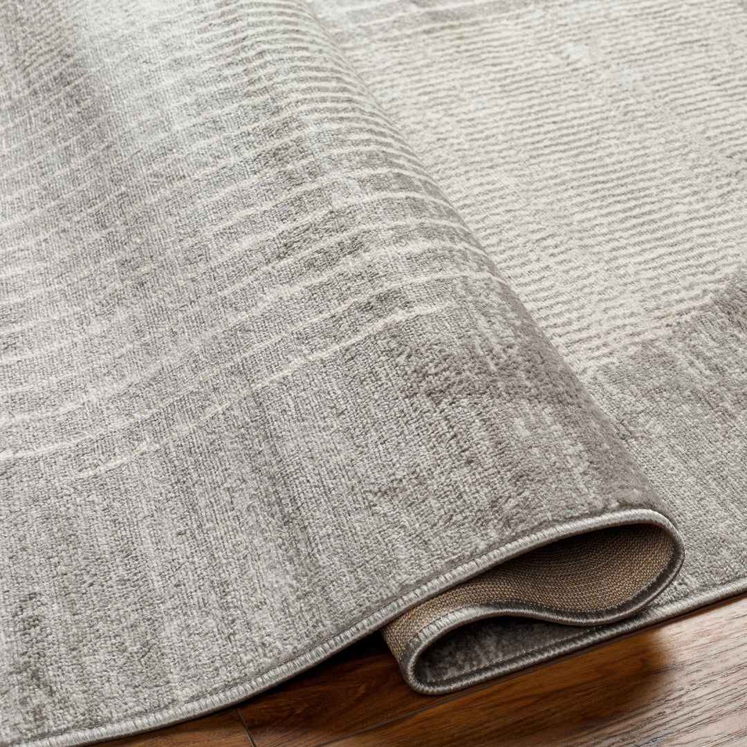 Beauregard Contemporary Style Gray Area Rug - The Rug Decor
