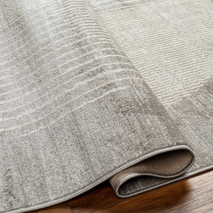 Beauregard Contemporary Style Gray Area Rug - The Rug Decor