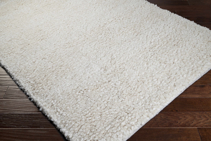 Bedias Hand Woven Modern Style Ivory Area Rug