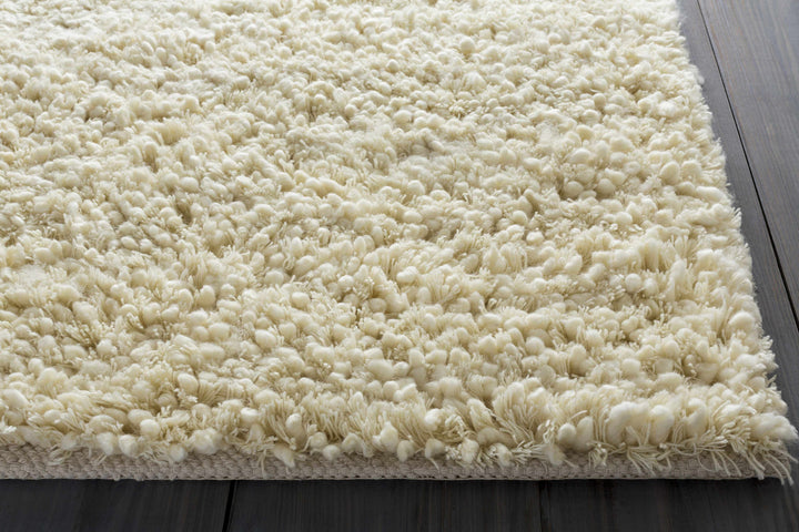 Bedias Hand Woven Modern Style Ivory Area Rug