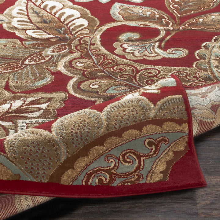 Beedeville Red And Brown Traditional Style Area Rug