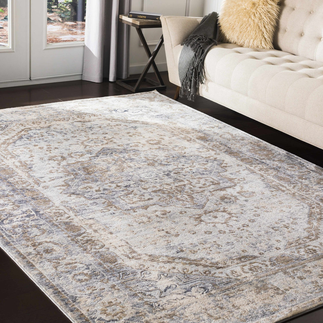 Beebe Traditional Style Brown And Gray Area Rug - The Rug Decor