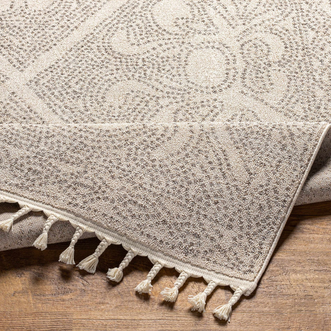 Beige and Brown Contemporary Large Design Area Rug - The Rug Decor