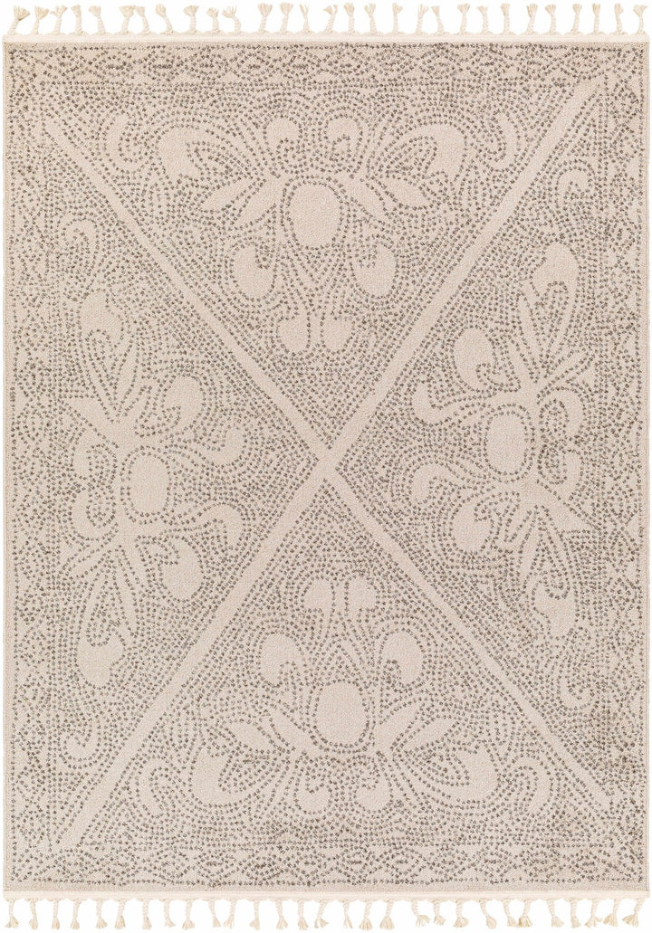 Beige and Brown Contemporary Large Design Area Rug - The Rug Decor