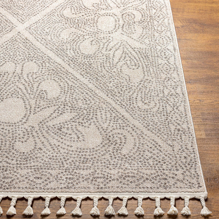 Beige and Brown Contemporary Large Design Area Rug - The Rug Decor