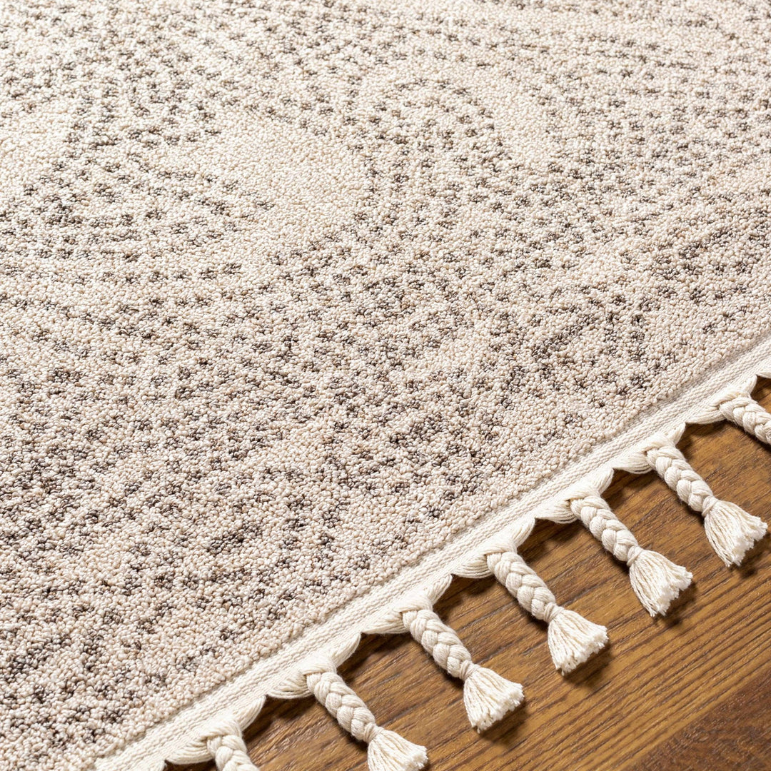 Beige and Brown Contemporary Large Design Area Rug - The Rug Decor