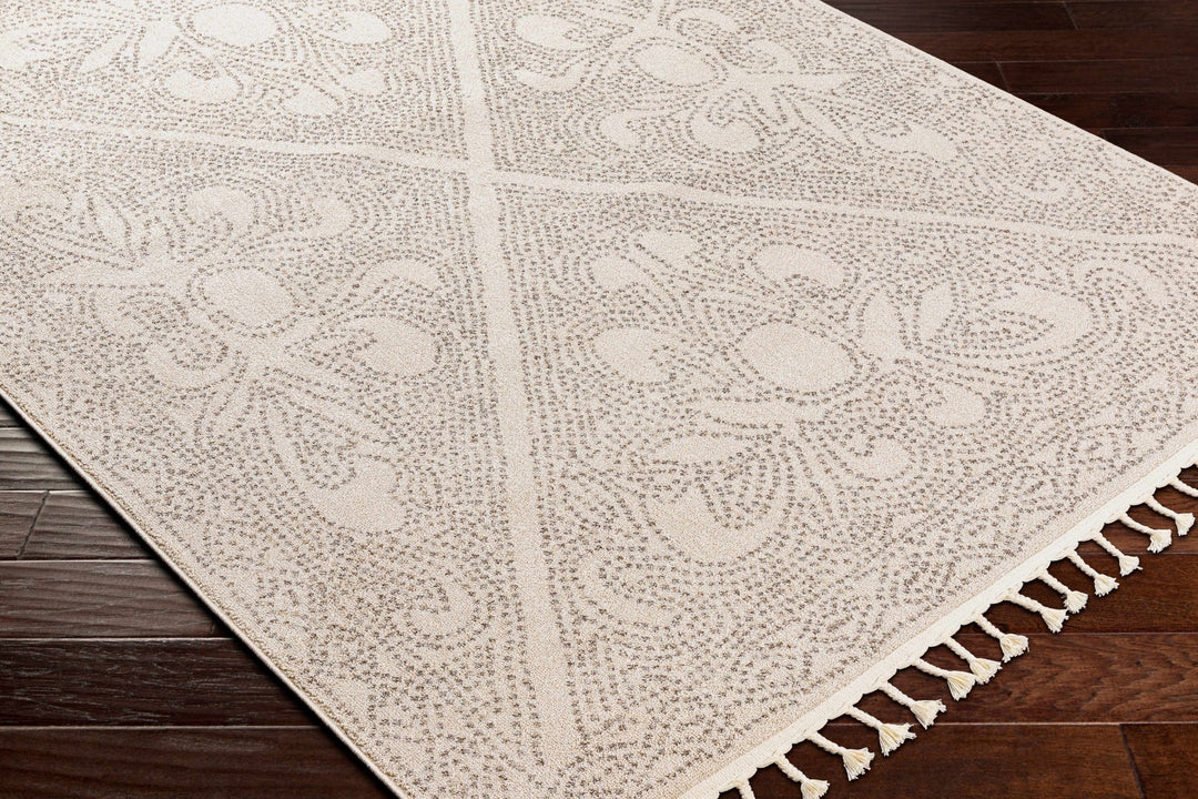 Beige and Brown Contemporary Large Design Area Rug - The Rug Decor