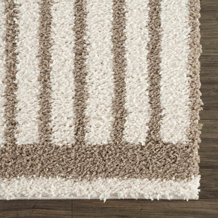 Beige And Brown Modern Style Area Rug - The Rug Decor