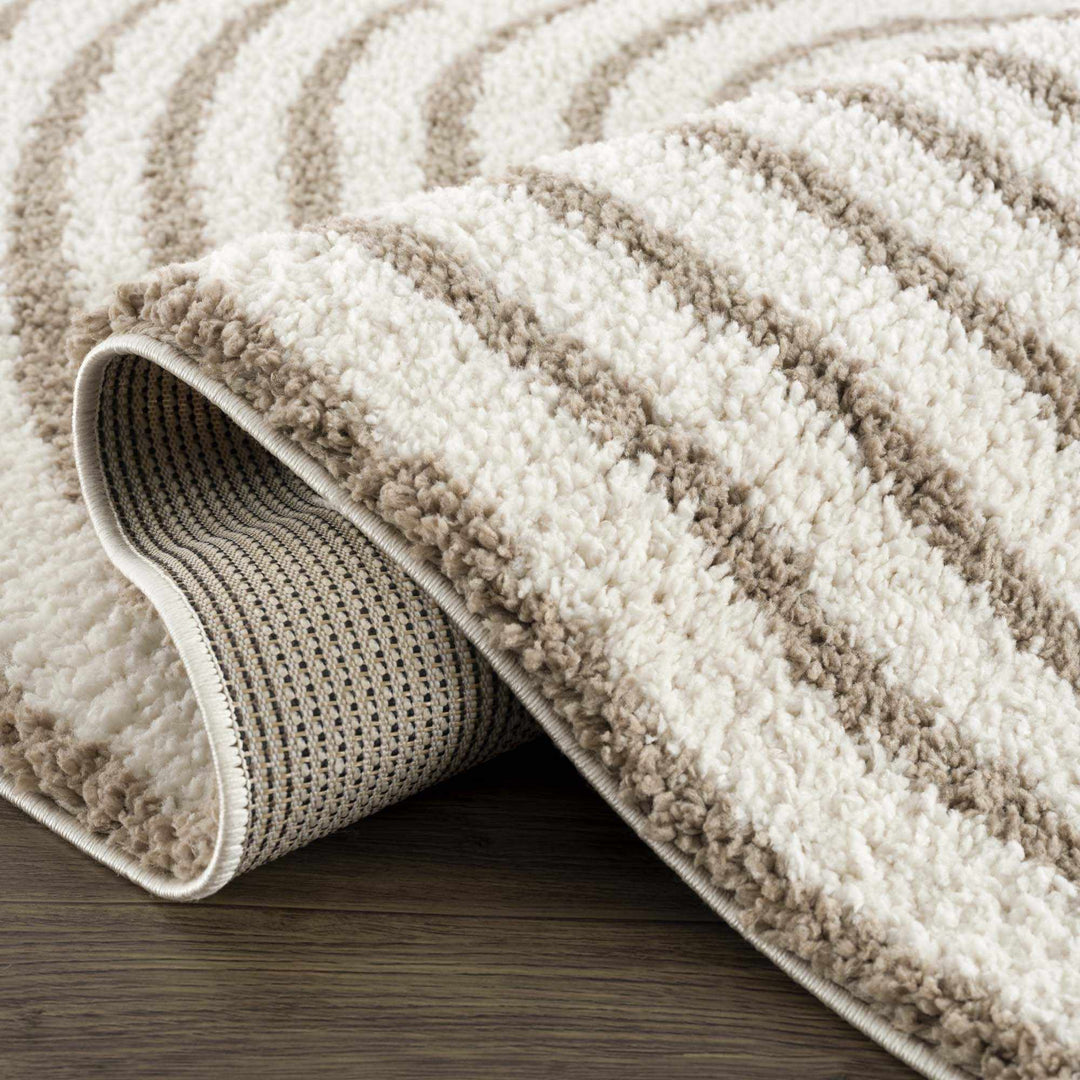 Beige And Brown Modern Style Area Rug - The Rug Decor