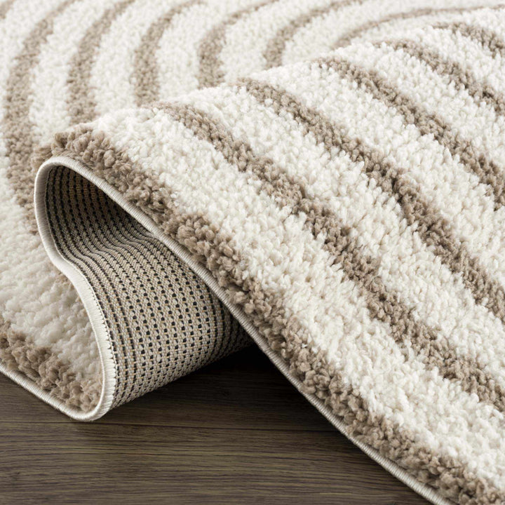 Beige And Brown Modern Style Area Rug - The Rug Decor