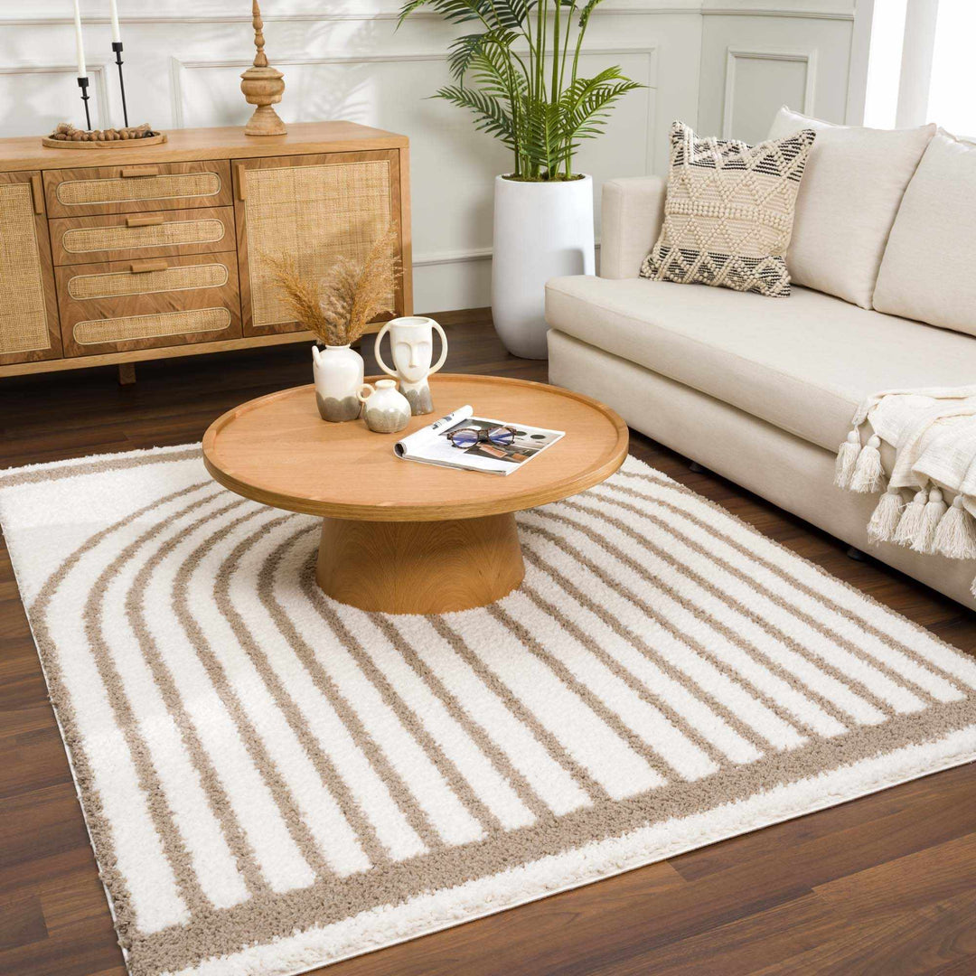 Beige And Brown Modern Style Area Rug - The Rug Decor