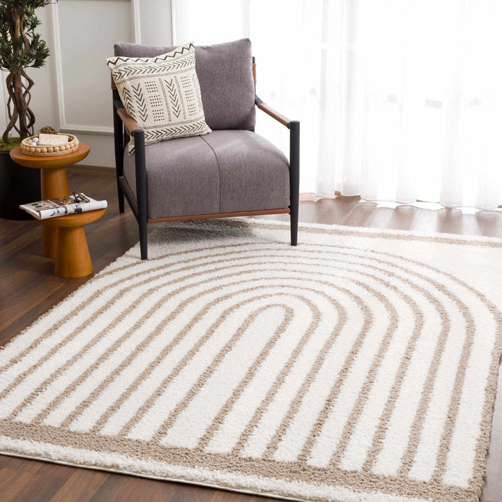 Beige And Brown Modern Style Area Rug - The Rug Decor