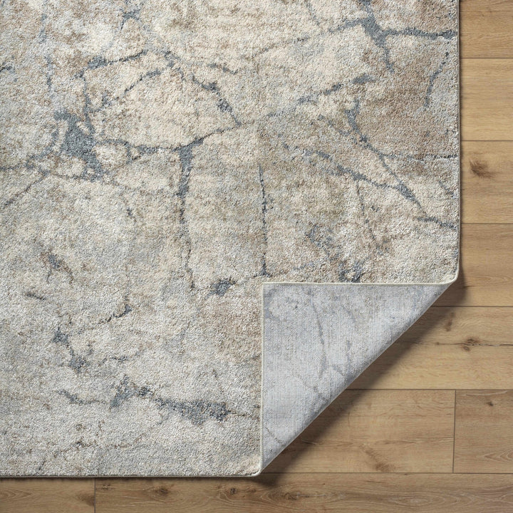 Beige And Gray Contemporary Abstract Woven Rug - The Rug Decor