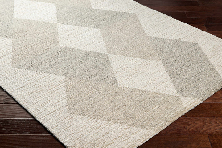 Beige And Gray Contemporary Style Machine Woven Rug - The Rug Decor