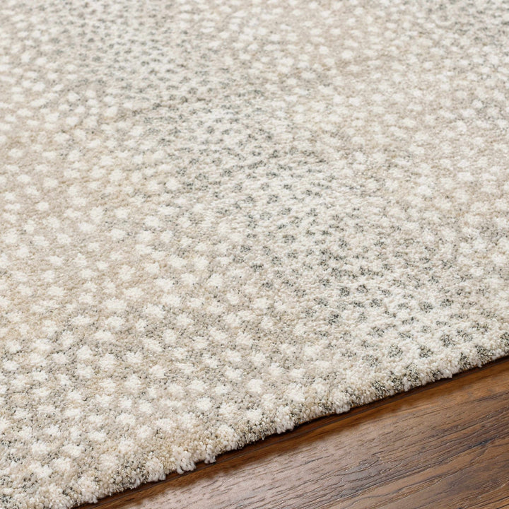 Beige And Gray Contemporary Style Machine Woven Rug - The Rug Decor