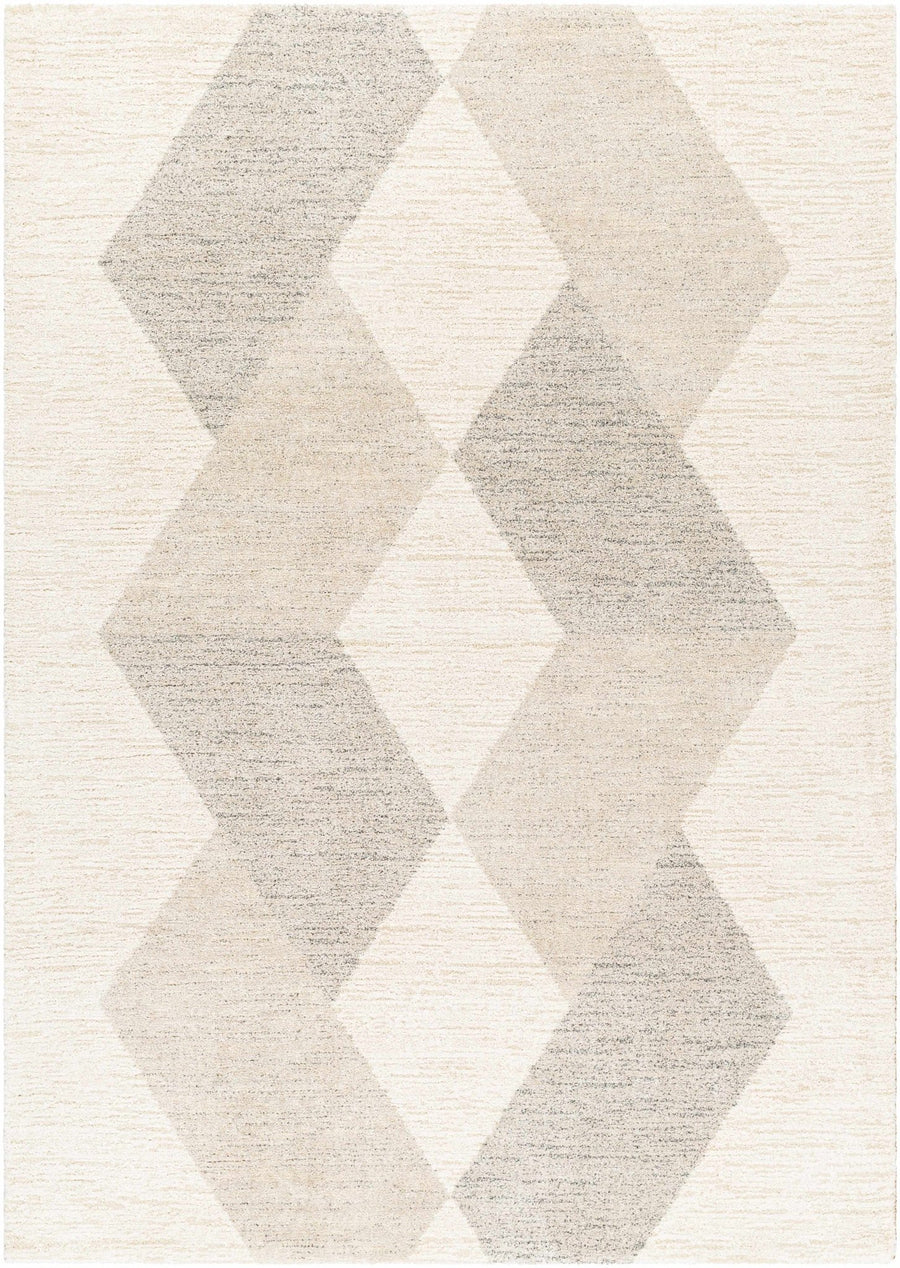 Beige And Gray Contemporary Style Machine Woven Rug - The Rug Decor