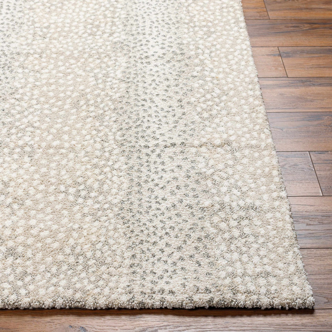 Beige And Gray Contemporary Style Machine Woven Rug - The Rug Decor