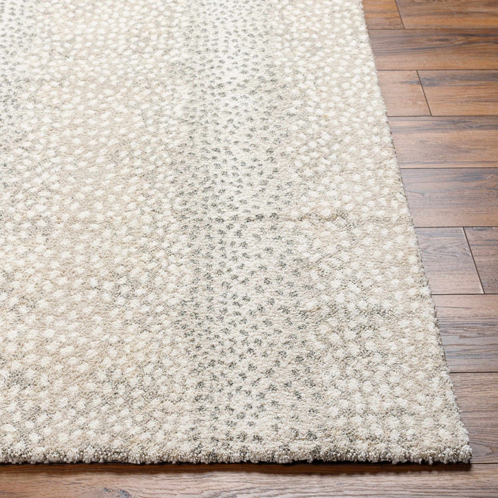 Beige And Gray Contemporary Style Machine Woven Rug - The Rug Decor