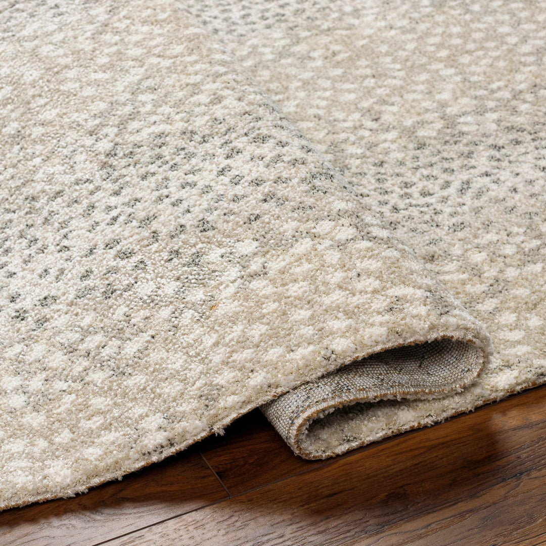 Beige And Gray Contemporary Style Machine Woven Rug - The Rug Decor