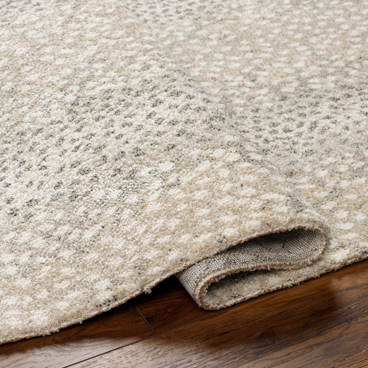 Beige And Gray Contemporary Style Machine Woven Rug - The Rug Decor