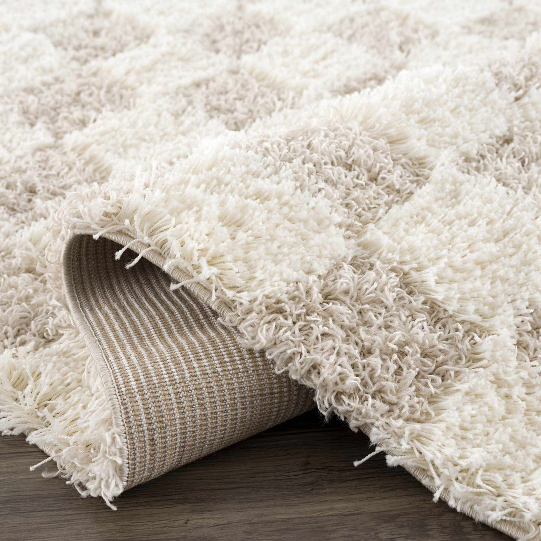 Beige and Ivory Modern Geometrical Checkered Plush Pile Moroccan Style Area Rug - The Rug Decor