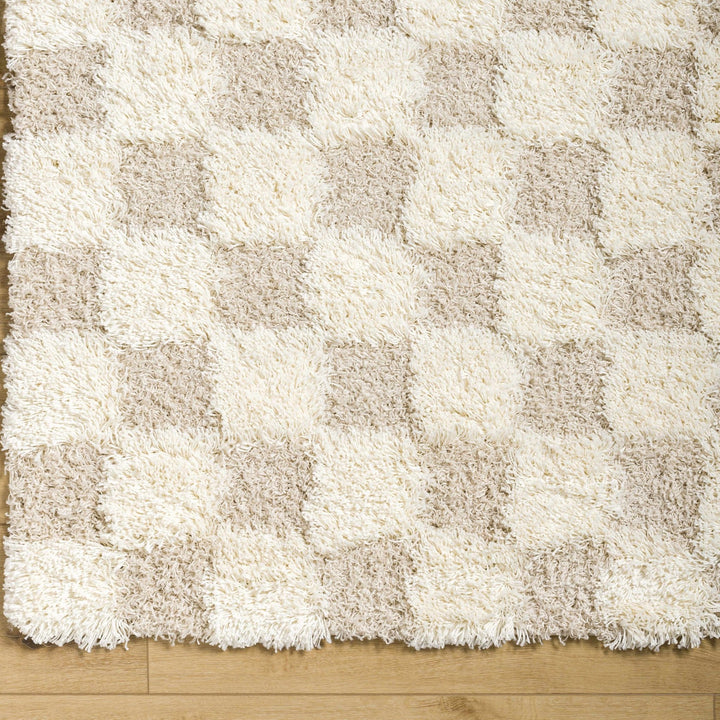 Beige and Ivory Modern Geometrical Checkered Plush Pile Moroccan Style Area Rug - The Rug Decor