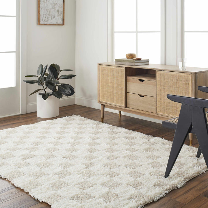 Beige and Ivory Modern Geometrical Checkered Plush Pile Moroccan Style Area Rug - The Rug Decor