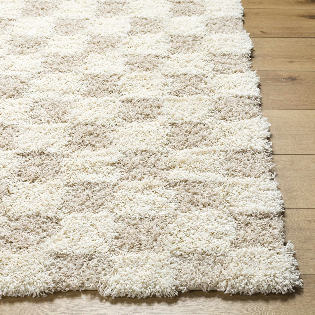 Beige and Ivory Modern Geometrical Checkered Plush Pile Moroccan Style Area Rug - The Rug Decor
