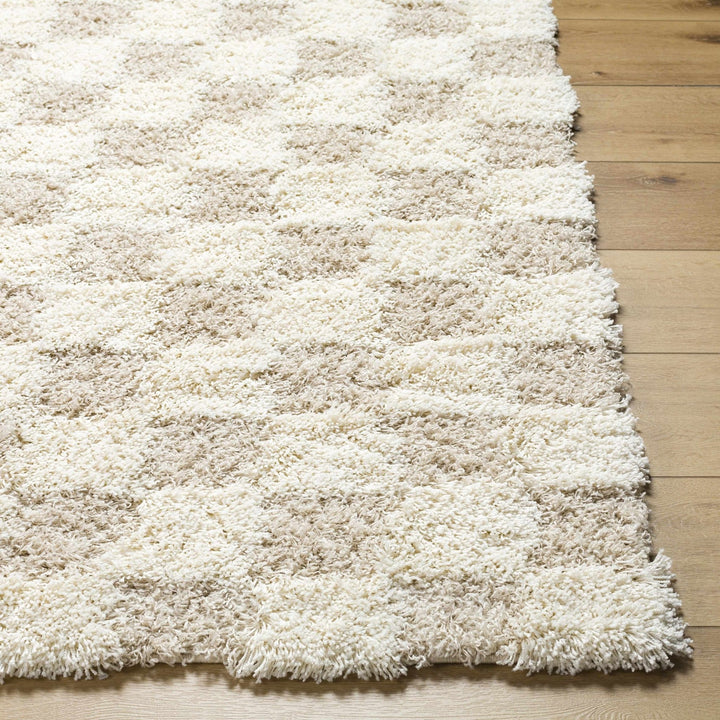 Beige and Ivory Modern Geometrical Checkered Plush Pile Moroccan Style Area Rug - The Rug Decor